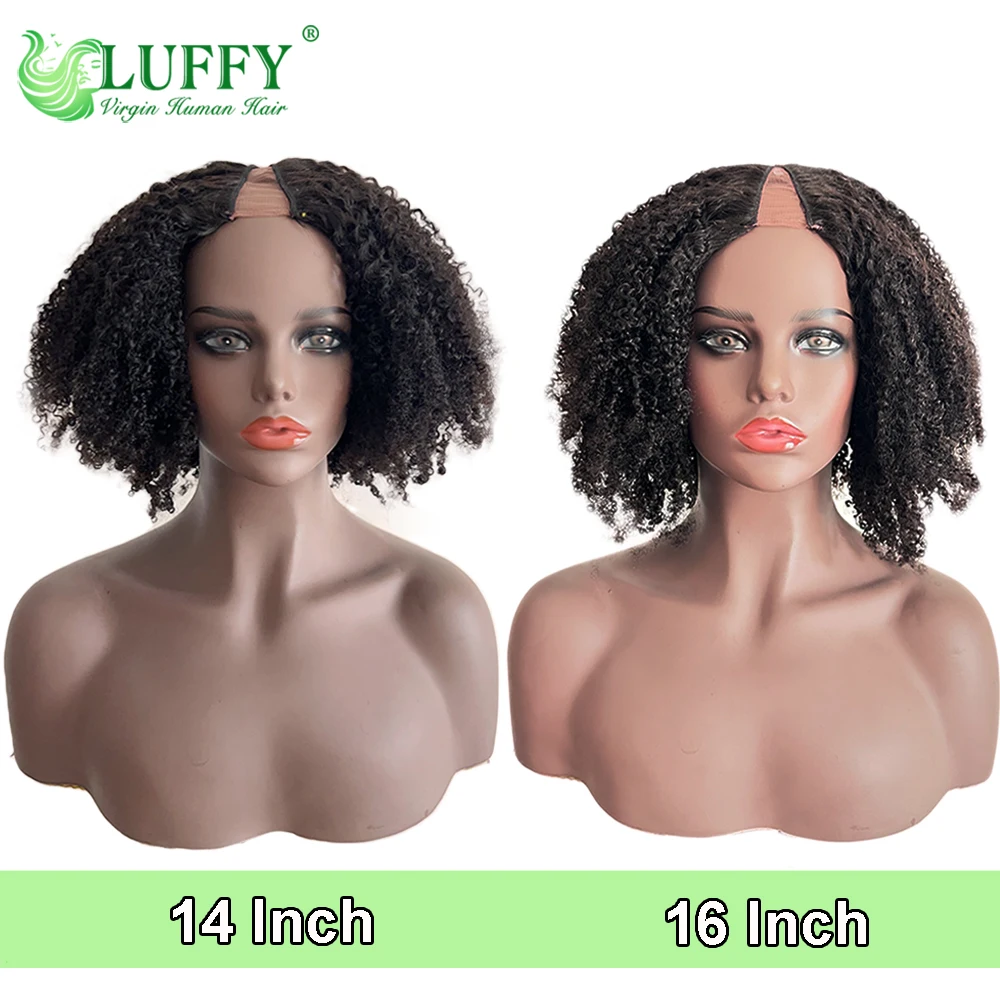 Brazilian Afro Kinky Wigs - Image 9