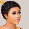 Brazilian Afro Curly Pixie Wig